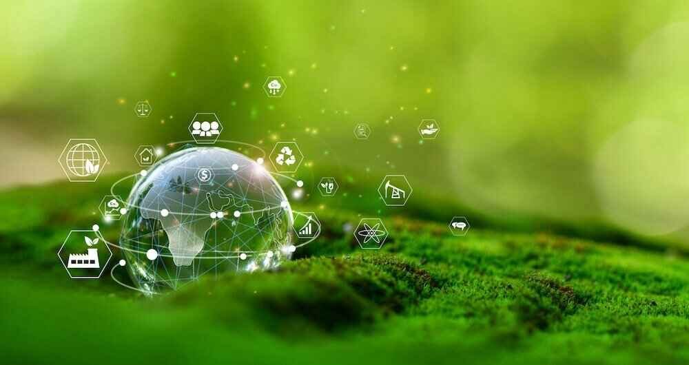 ESG & Net Zero Consulting